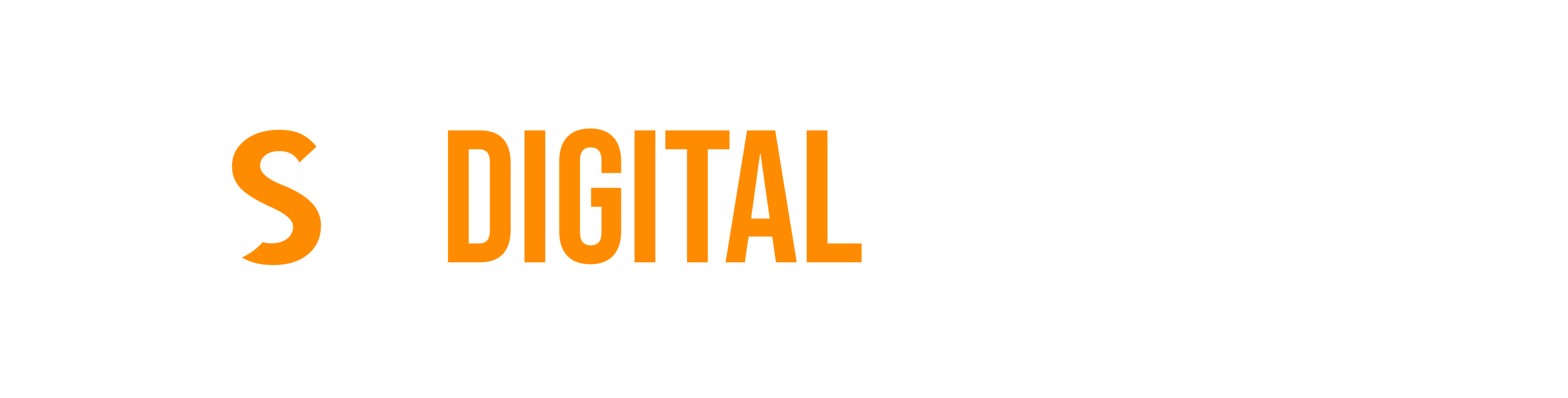 Digital Ships LLC
